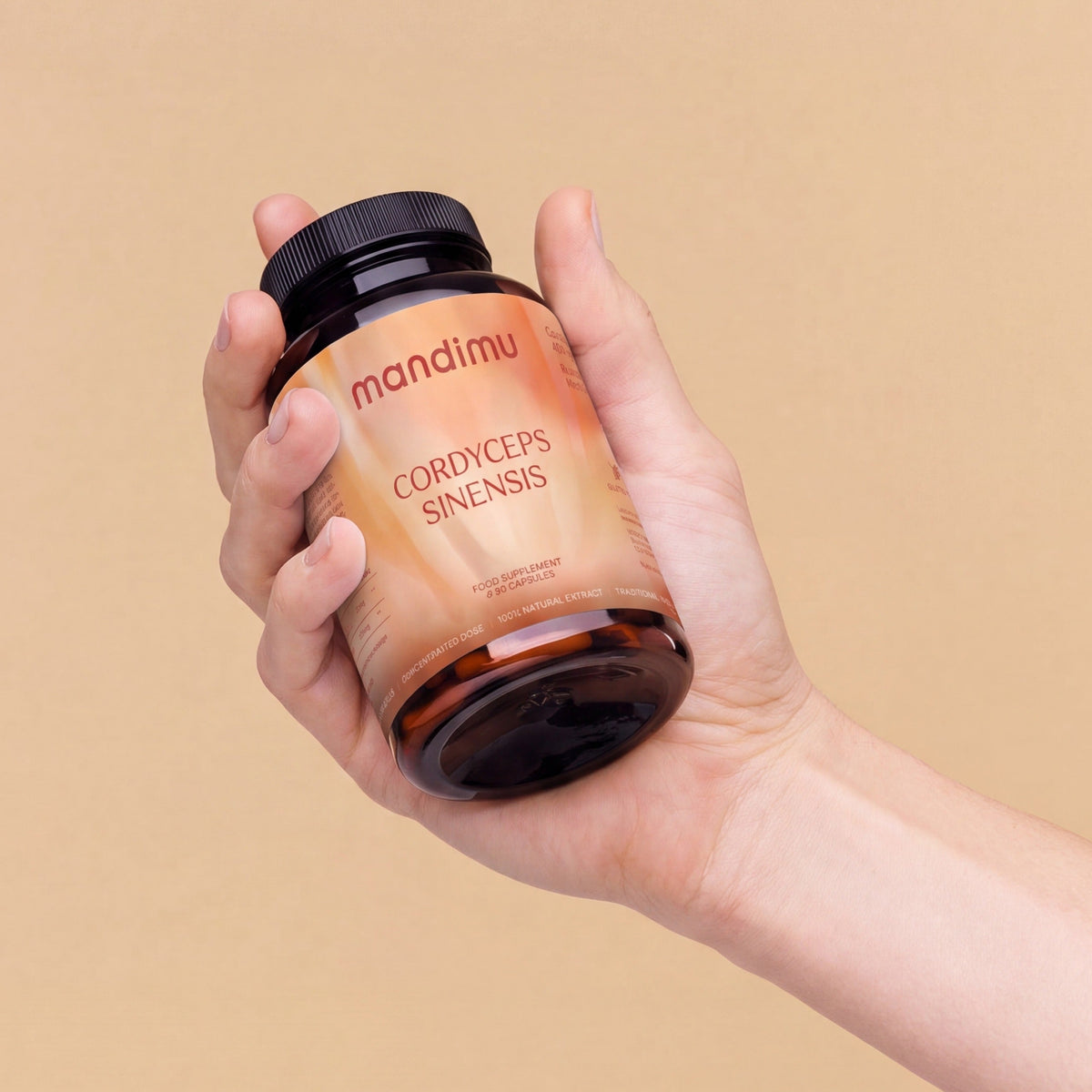 Cordyceps sinensis – 90 Kapseln