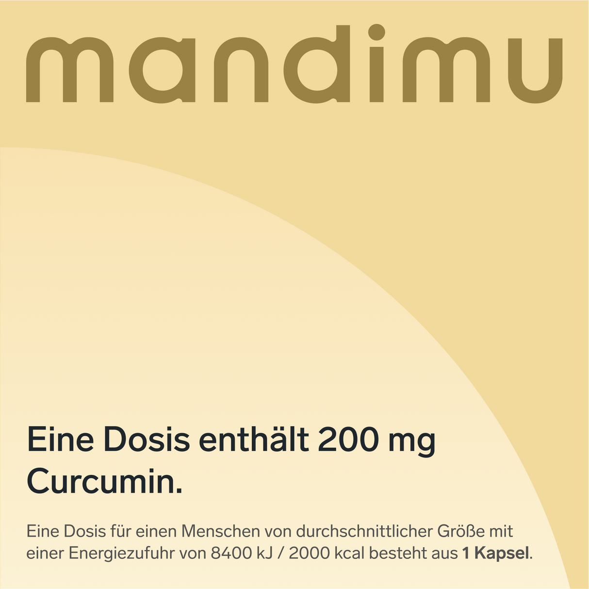 Curcumin – 90 Kapseln