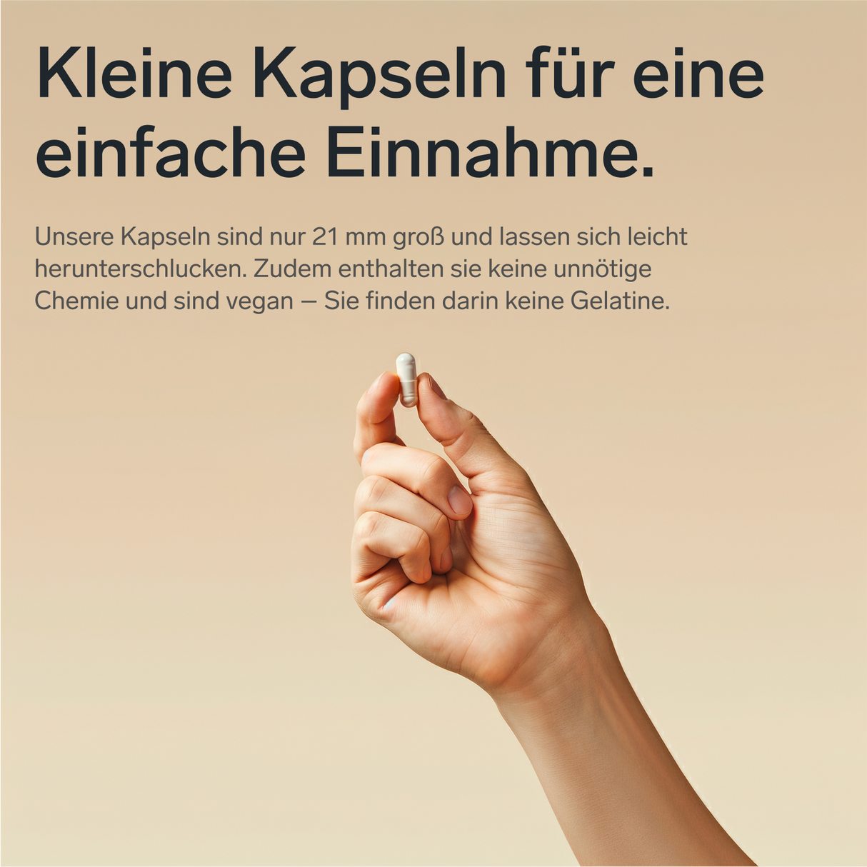 Magnesiumbisglycinat Premium: Chelatiertes Magnesium – 90 Kapseln, vegan, hochdosiert