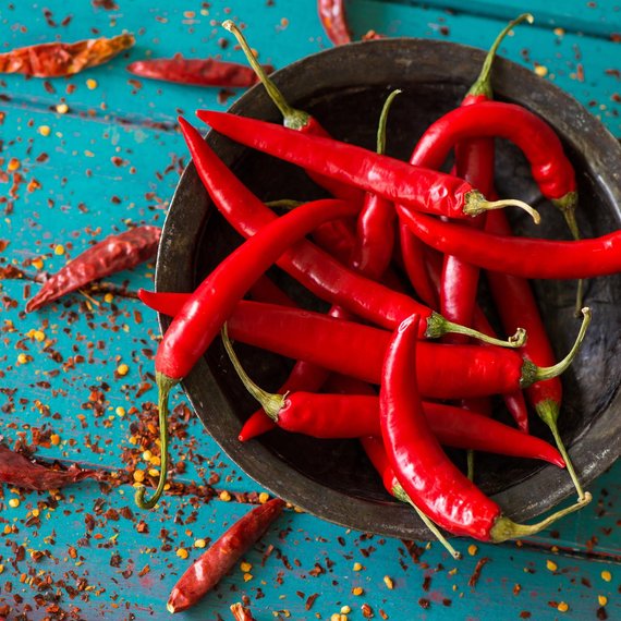 Chilischote