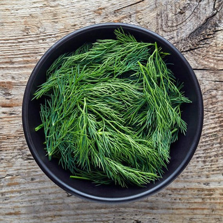 Dill