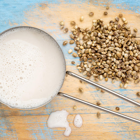 Hanfsamenmilch