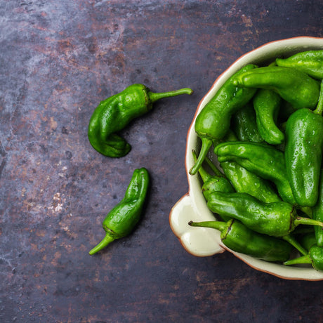 Jalapeno Chili