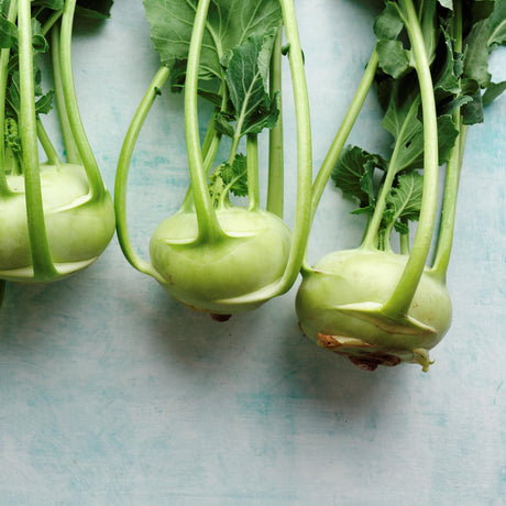 Kohlrabi
