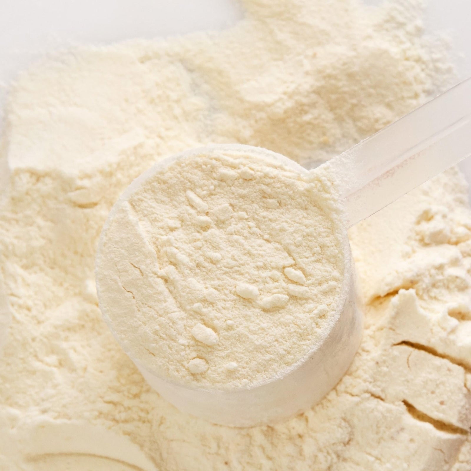 Molkenprotein