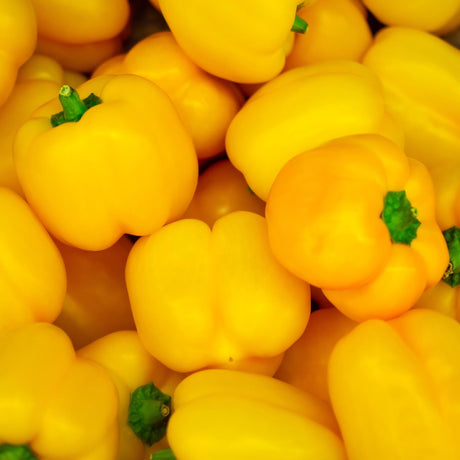 Paprika, gelb