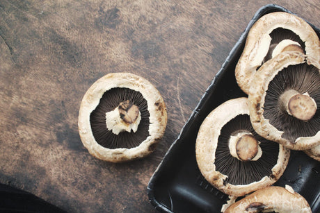 Portobello-Pilze