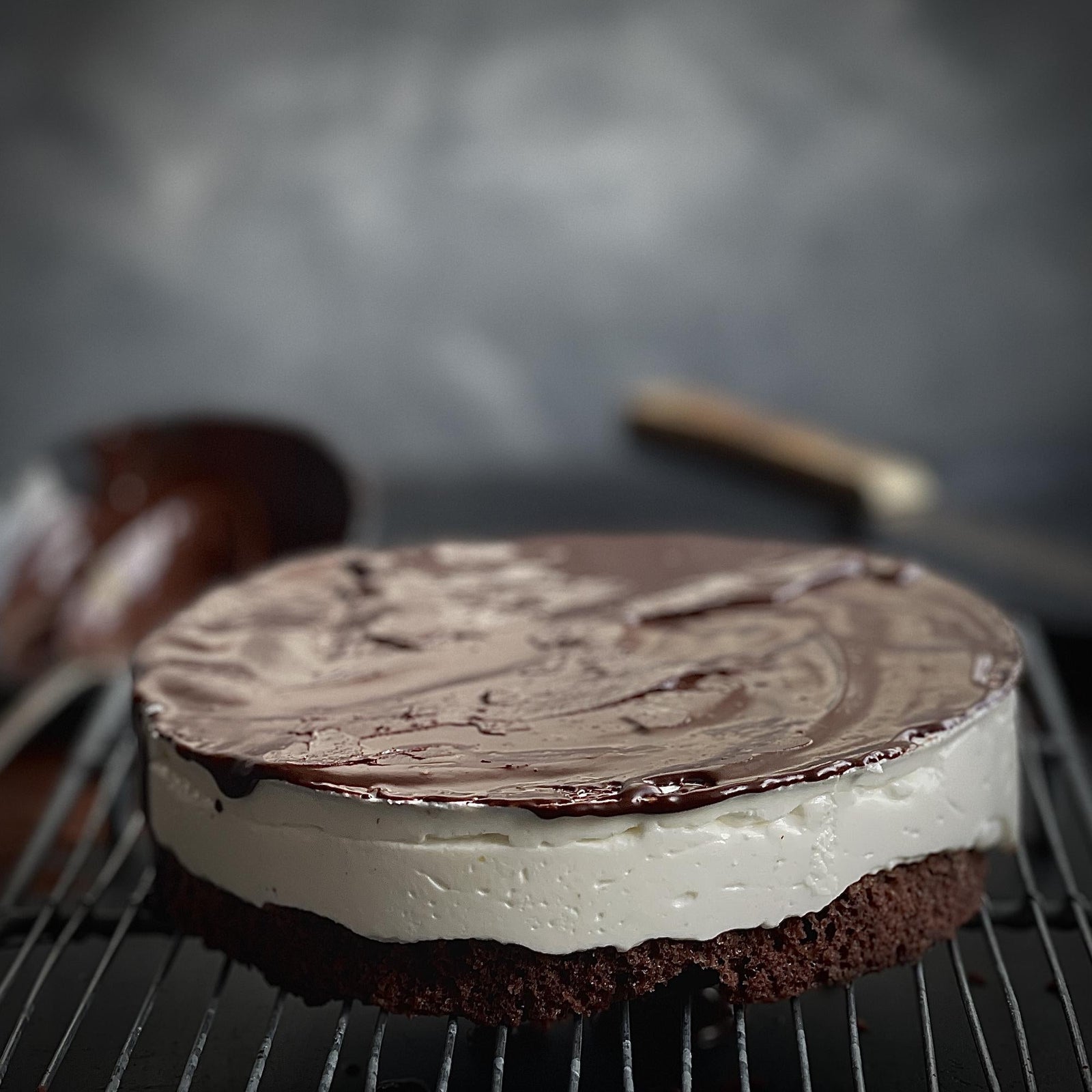 Quark-Torte Míša