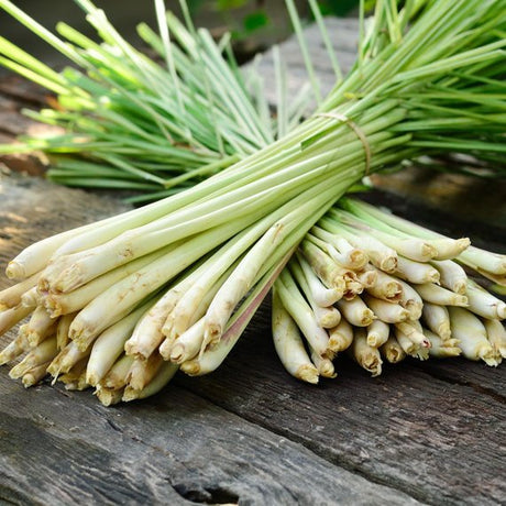 Zitronengras