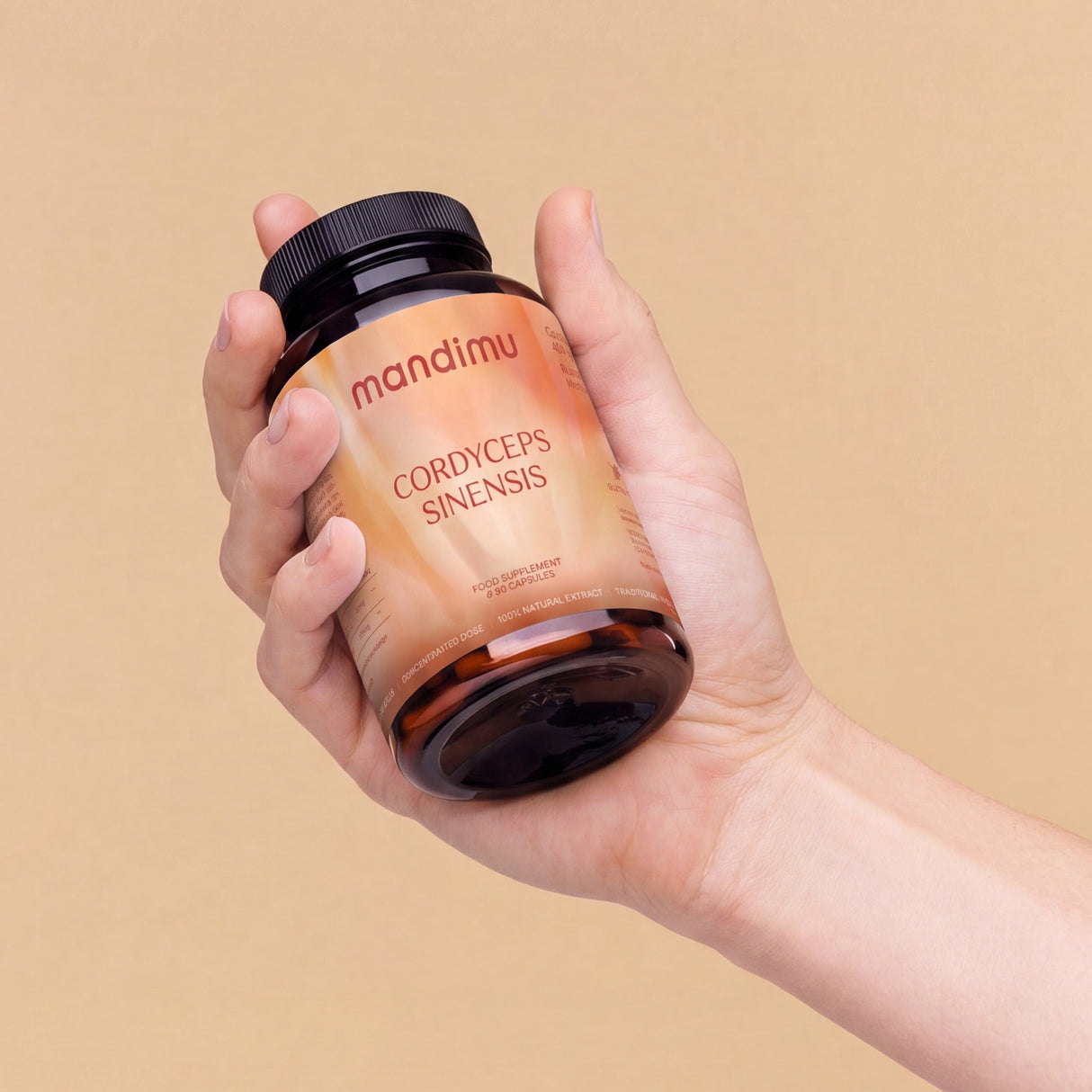 Cordyceps sinensis – 90 Kapseln