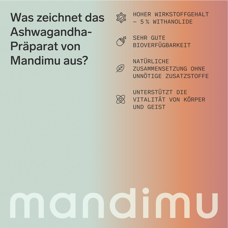 Ashwagandha – 90 Kapseln, vegan, hochdosiert