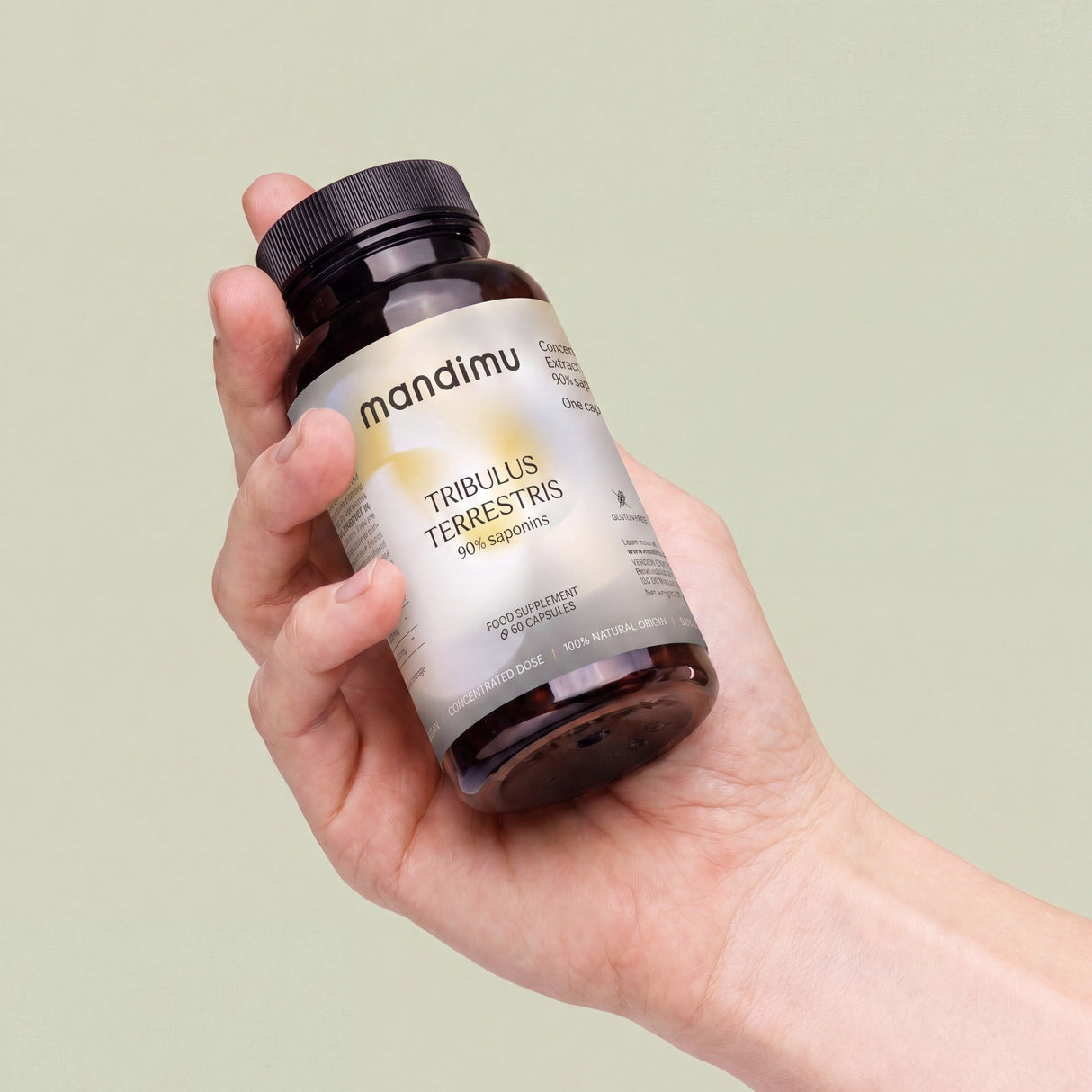 Tribulus terrestris (Erd-Burzeldorn) – 60 Kapseln, vegan