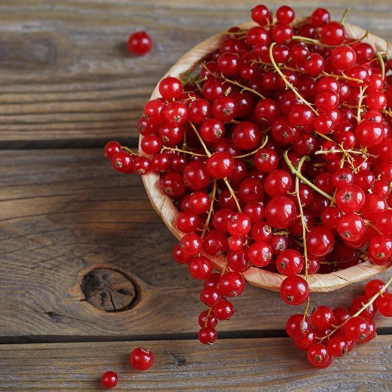 Johannisbeeren