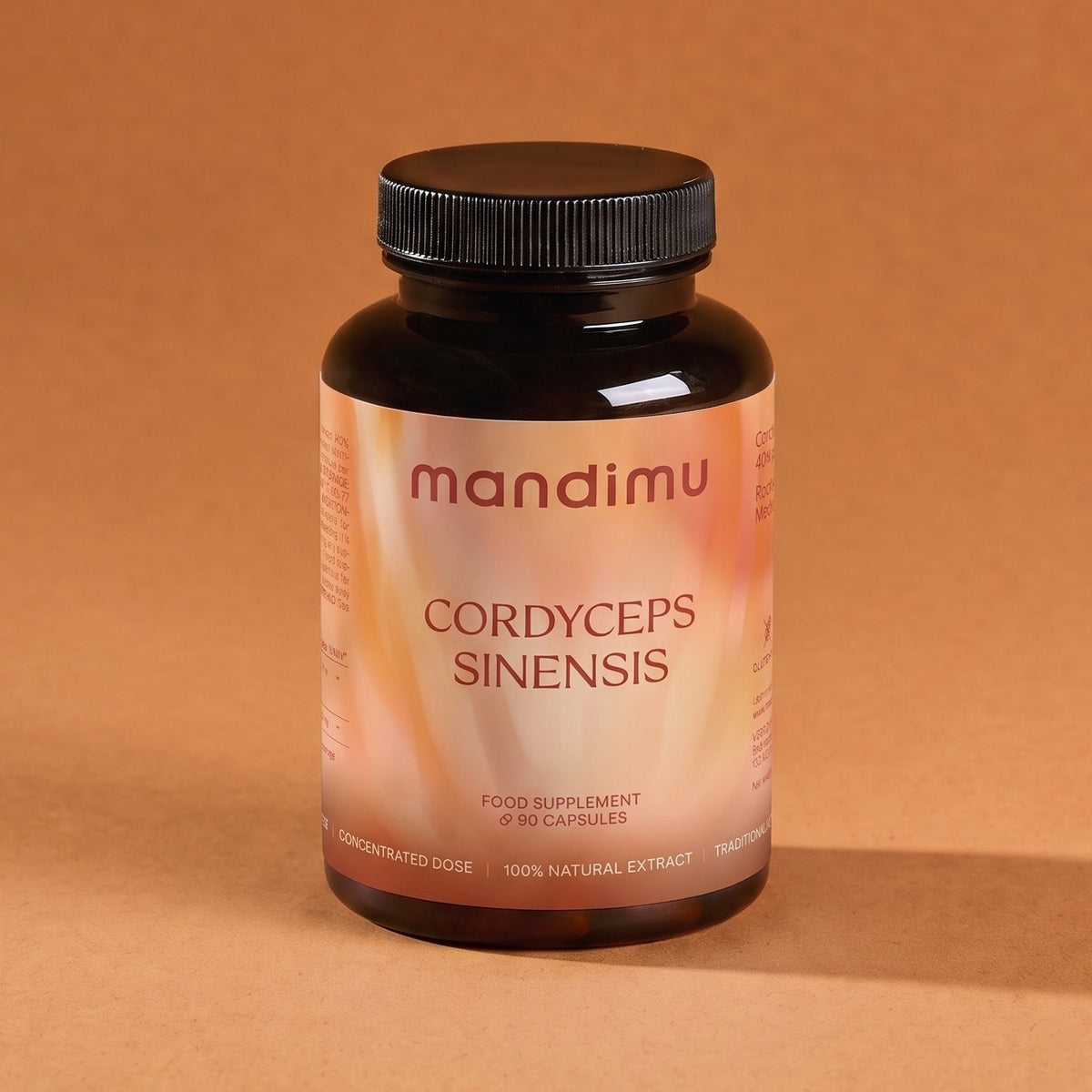 Cordyceps sinensis – 90 Kapseln