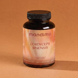 Cordyceps sinensis – 90 Kapseln
