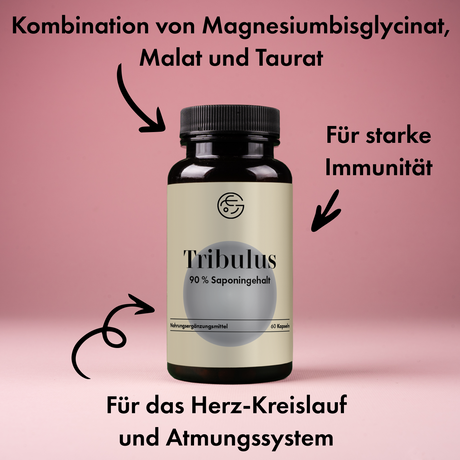 Tribulus terrestris (Erd-Burzeldorn) – 60 Kapseln, vegan
