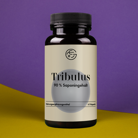 Tribulus terrestris (Erd-Burzeldorn) – 60 Kapseln, vegan